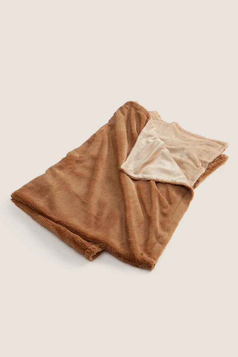 כירבולית לחיית מחמד