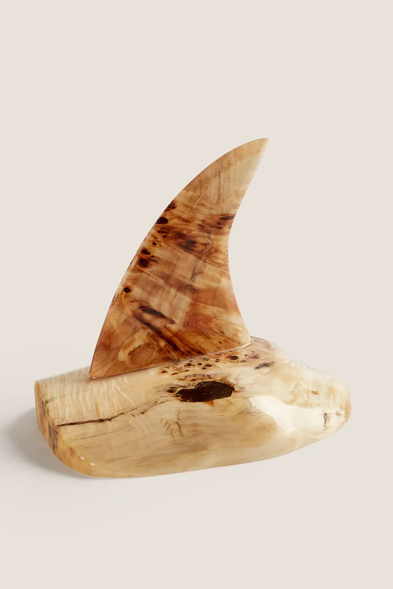 2022_05_30_ATLAS44988 - Copy