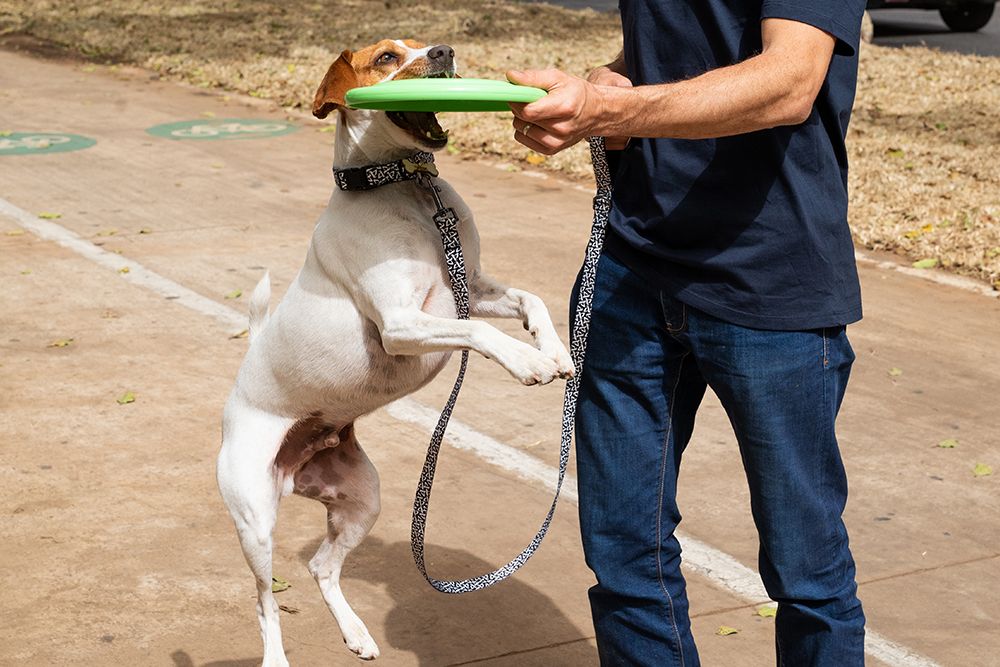 מארז נופשים על ארבע