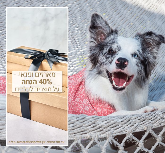 מארזים ופנאי נייד